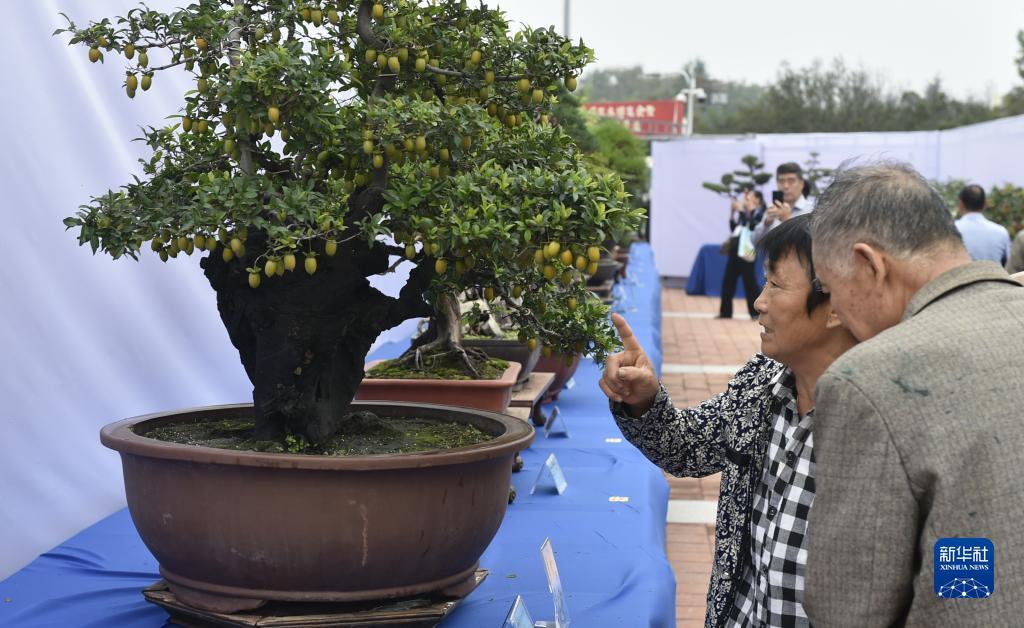 ag官方官网